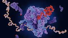 生命の起源の謎!最初の生命はどうやって遺伝情報を翻訳したのかを解明 - ナゾロジー