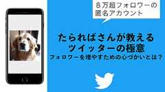 8万超フォロワーの匿名アカウント・たらればさん @tarareba722 が教えるツイッターの極意。フォロワーを増やすための心づかいとは?