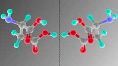 鏡の世界にいる『鏡像細菌』は絶対に誕生させてはならない【共同声明の発表】 - ナゾロジー