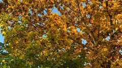 Yaman 127 on Twitter: "これは本当に間違いなくて,私大なら半年で50万の学費,落合サロン,箕輪編集室,はあちゅうサロン,HIUなど勢いあるサロン全てに入会してフルでエッセンスを吸収しても月10万もかからない。大学のカリキュラムに縛られなんとなく学ぶより,… https://t.co/z3IWEjOndA"