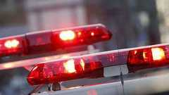 地震避難の車中でわいせつ疑い アルバイト19歳男逮捕 | 共同通信