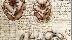 レオナルド・ダ・ヴィンチが描いた大量の解剖図デッサン画 : カラパイア