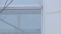 小6男児が同級生に合計93万円渡す 「価値が上がる“純金製のコイン”」と言われ…実は水族館の記念メダル 「うまい話があると思ってしまった」 警察が相談受け捜査 | TBS NEWS DIG