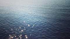 最上の思考は孤独のうちになされ、最低の思考は混乱のうちになされる - Blue あなたとわたしの本