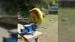 弓術家による『武士の弓矢の威力はどれほどだったのか』を検証した動画がヤバい「フライパンをあっさり貫通!?」「鎧ごと貫くわけだ…」