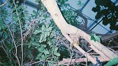 フィクションの薄暗い欲求を現実に持ち込まないために - libsy