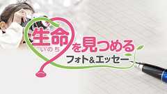生命を見つめるフォト&エッセー