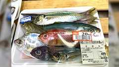 スーパーで売っていた20%引きの「さかな」自分で捌けたらお得だなと思っていたら母親が買っていた「鯵は分かるけど、残りが分からない」
