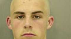 モヒカン男らがボウガンらしき物で武装して牛を盗んで食べる…アメリカ : 痛いニュース(ノ∀`)