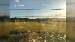 ガチ都心出身者「田舎というと吉祥寺を想像していたが、みんなの認識はそうじゃなかった」→衝撃を受ける人、似た感覚の人、様々な意見が集まる