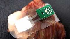 燃料は脂肪…京大・村田製作所などが開発、「バイオ電池」の可能性 ニュースイッチ by 日刊工業新聞社