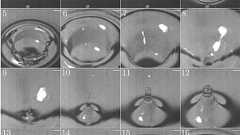 水滴の「ぽちゃん」という音、発生の仕組みついに解明