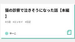 猫の診察で泣きそうになった話【本編】|やーこ