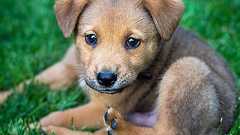 英語の名前とその由来100 ~女の子編~