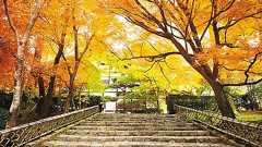 京都在住のプロカメラマンに聞いた!フォトジェニックな京都の穴場「紅葉絶景」4選 |じゃらんニュース