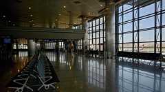 多くの航空会社が5月末までに破綻へ、新型コロナで-コンサル会社