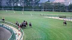 【阪神大笑点】今年の阪神大賞典は史上最高のワロタレース : -ホースニュース俺-(無期休刊)