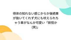 得体の知れない感じからか後続車が抜いてくれず犬にも吠えられちゃう車がなんか可愛い「妖怪か(笑)」