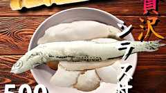 一匹丸ごとワンコインで 「贅沢シラス丼」、丼の松田家