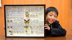 大水害、昆虫は生き残れたか 小4が研究、生命力に驚嘆:朝日新聞デジタル