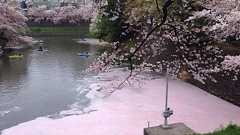 MT4で画像挿入の際にclassやstyleが付くのが嫌! なあなたに。 | Junnama Online