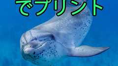 Lightroomで画面と同じ色でプリントする方法