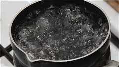 世界最古の人間の脳が沸騰して保存された状態で見つかる