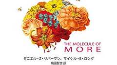 芸術家やリベラルが不倫をしやすい理由(読書メモ:『もっと!愛と創造、支配と進歩をもたらすドーパミンの最新脳科学』) - 道徳的動物日記