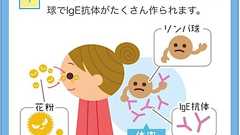 薬剤師伝授!薬局で買える病院と同じ花粉症の薬と選び方 - マルチアレルギーの息子と過ごす幸せな日々