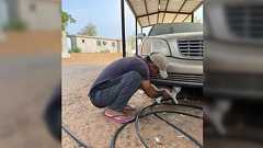 外から戻ってきた夫「何か見た」「猫だとは思う。でもあんな猫は見たことない。白くて耳が小さくて目が丸く大きくて」→正体が判明