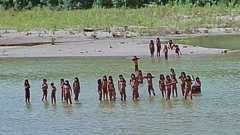 「集落の男性は瀕死の重傷」「犬が死骸で…」アマゾン奥地に暮らす“イゾラド”が10年ぶりに出現…攻撃的な態度を見せたワケ | 文春オンライン