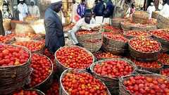 「トマトのエボラ」に非常事態宣言、ナイジェリア北部州