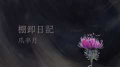 棚卸日記 Vol.14 Colaboに連帯します by 爪半月|LOVE PIECE CLUB(ラブピースクラブ)