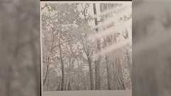 漫画家・きたがわ翔先生が手描きのカケアミ技術について語る「美しい」「きたがわさんのカケアミといえば伝説」