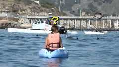 こんなの驚くに決まってる…カヤックの女性が絶叫した理由(動画) : らばQ