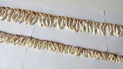 しめじを背の順に並べて癒される