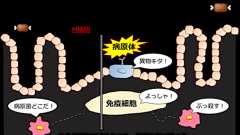 乳酸菌、腸内環境、ヨーグルトの基礎知識を専門外でもわかるように解説します