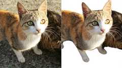 無料でウェブ画像から物体を切り抜き透過PNGを作成できるChrome拡張「物体認識切り抜きで透過画像作成」