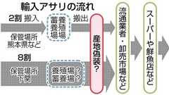 産地偽装疑いアサリ 8割は熊本経由せず 流通ルート解明へ