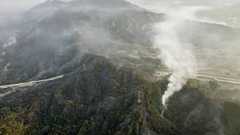 愛媛山林火災が鎮火 今治、西条両市で発生 | 共同通信