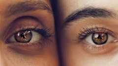 人間と人間でないものを分かつ一線、そして「エンパシー」について