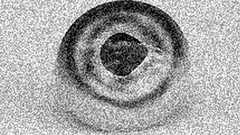 眉間から体内時計の摘出に成功 千葉電波大