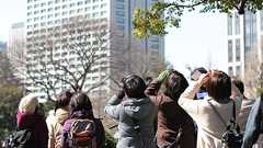 バードウォッチング入門 – BIRD FAN (日本野鳥の会)