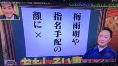 東国原英夫、「プレバト」俳句に盗作疑惑 地元紙に掲載された俳句と酷似 : 痛いニュース(ノ∀`)