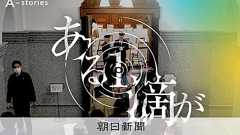 「面白い、と『犬笛』に加担」 向けられる矛先、中傷なお止まらず:朝日新聞