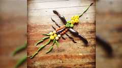 全てナス科の野菜で作られた『ナス科の地上絵』がこちらです「頭のいいオヤジギャグだ」「これ全部ナス科なのか」