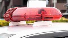 失神寸前相手の首絞め頭蹴り顔殴りまくる…熊本中学生“残忍暴行リンチ動画”にXで怒りの声沸騰 - 社会 : 日刊スポーツ