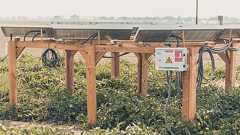 直下で作物を育てたソーラーパネルは寿命が延びる