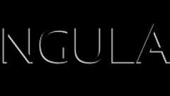 RailsでAngularJSを使ってTodoアプリを作成 - 1. AngularJSのインストール方法 - Rails Webook