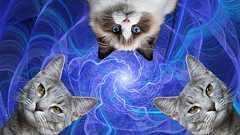 現実世界がバグっていることを感じさせる量子力学ニューストップ7【2024年度版】 - ナゾロジー